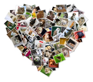 collage-heart-2
